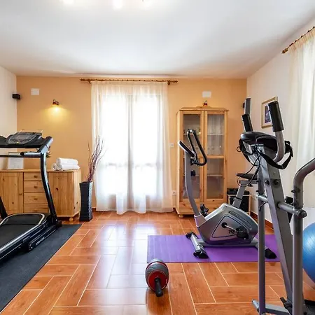 Vergatum-privacy,gym,billiards,table Tennis Vila Donji Brgat