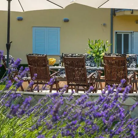 Vila Vergatum-privacy,gym,billiards,table Tennis *